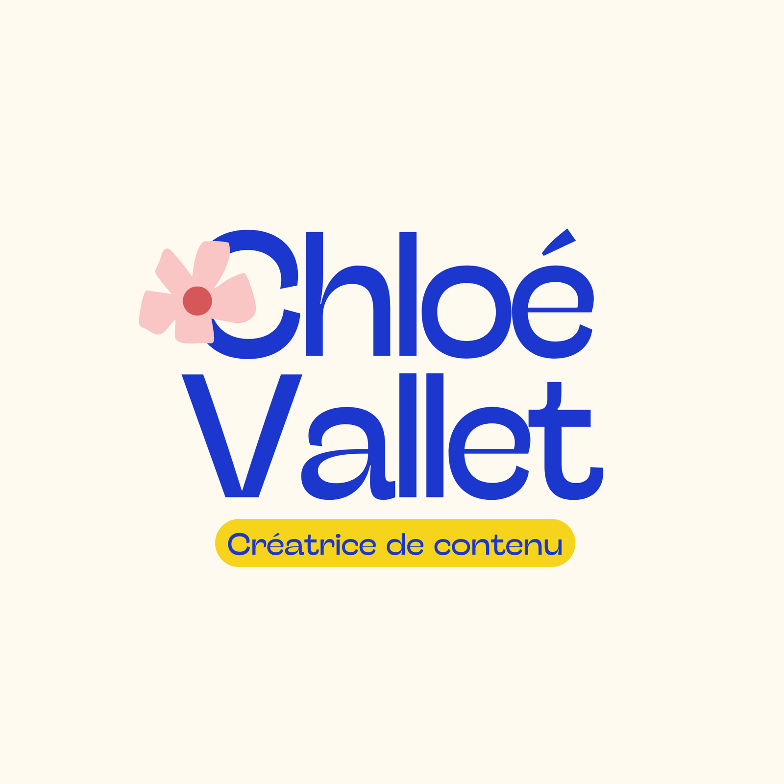 Web Development and Branding Services by Nexva Agency